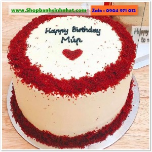 Bánh Sinh Nhật Tiramisu - T276